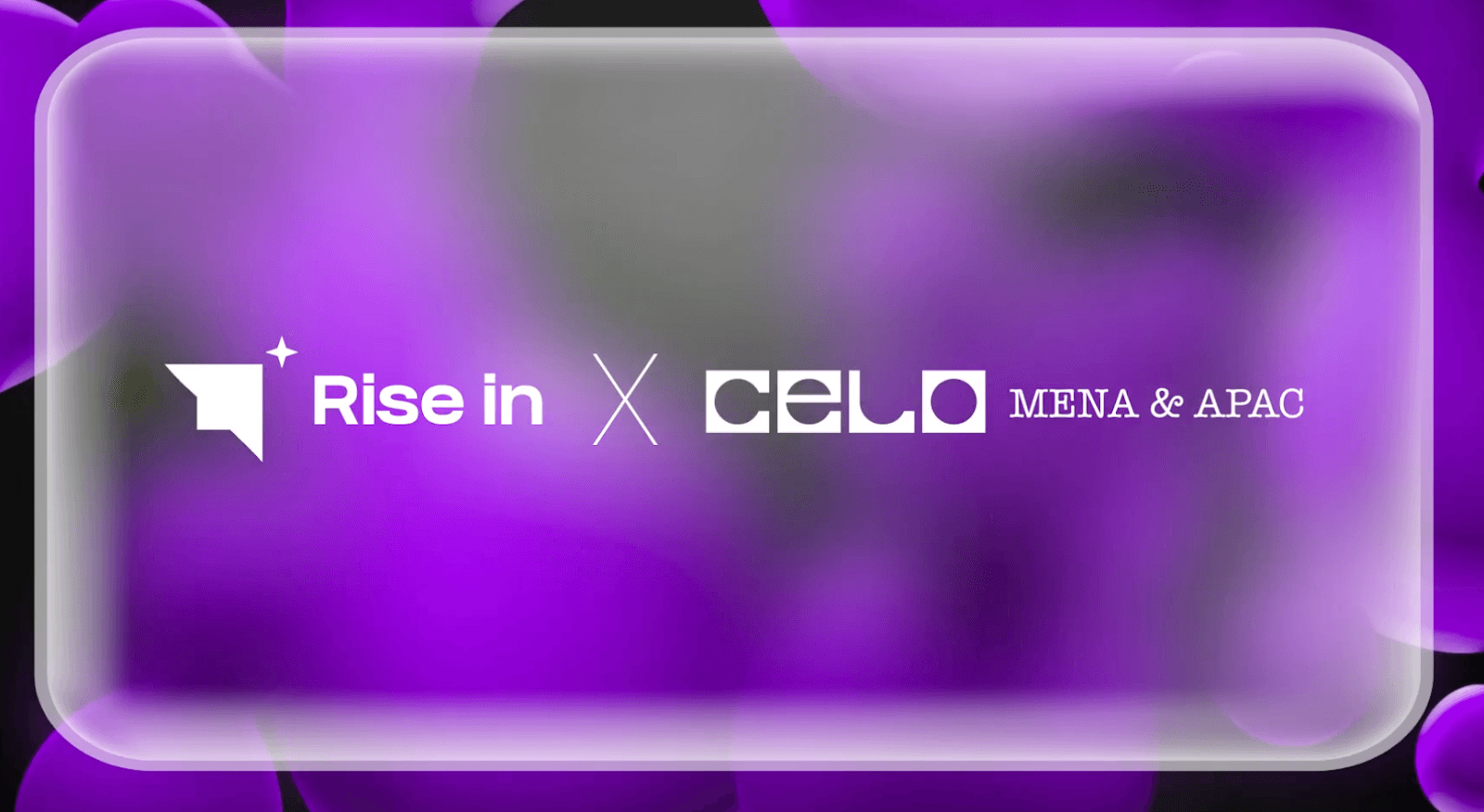 Rise In to drive Celo's expansion across Asia and the Middle East