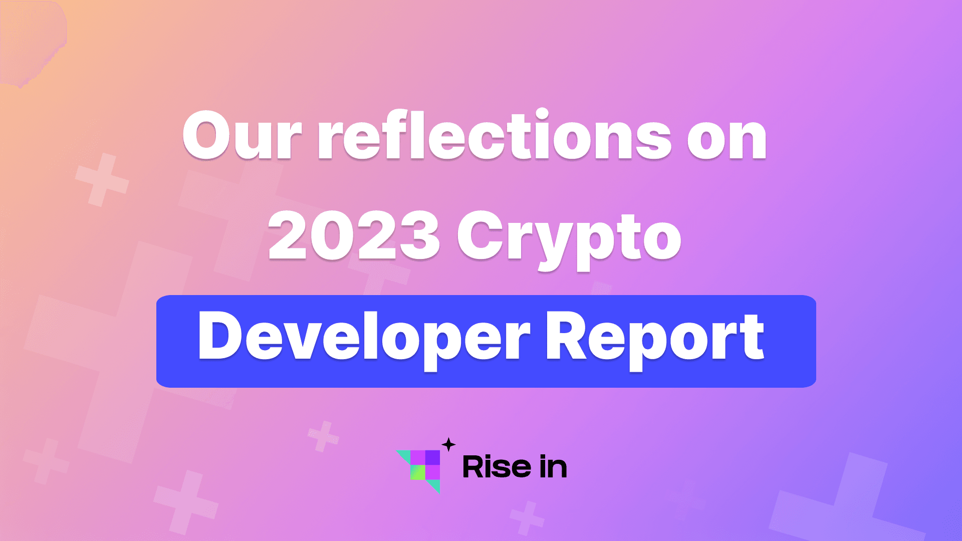 Rise In’s Reflections on 2023 Crypto Developer Report