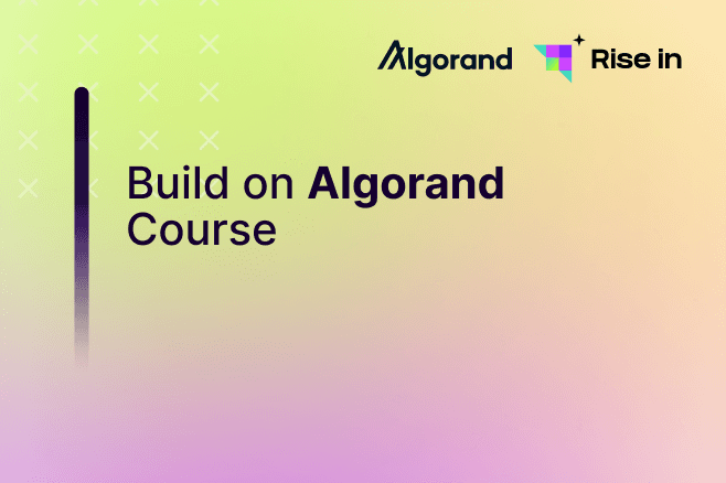 Build on Algorand