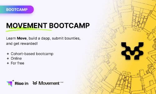 Movement Bootcamp